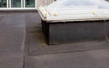disadvantages of Martins Moss flat roofs