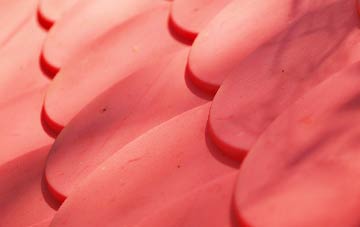 Martins Moss plastic roof costs