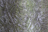 Martins Moss fibreglass roof work